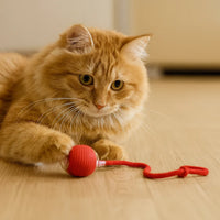 Automatisch rollende bal - door PetPioneer