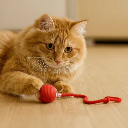 Automatisch rollende bal - door PetPioneer